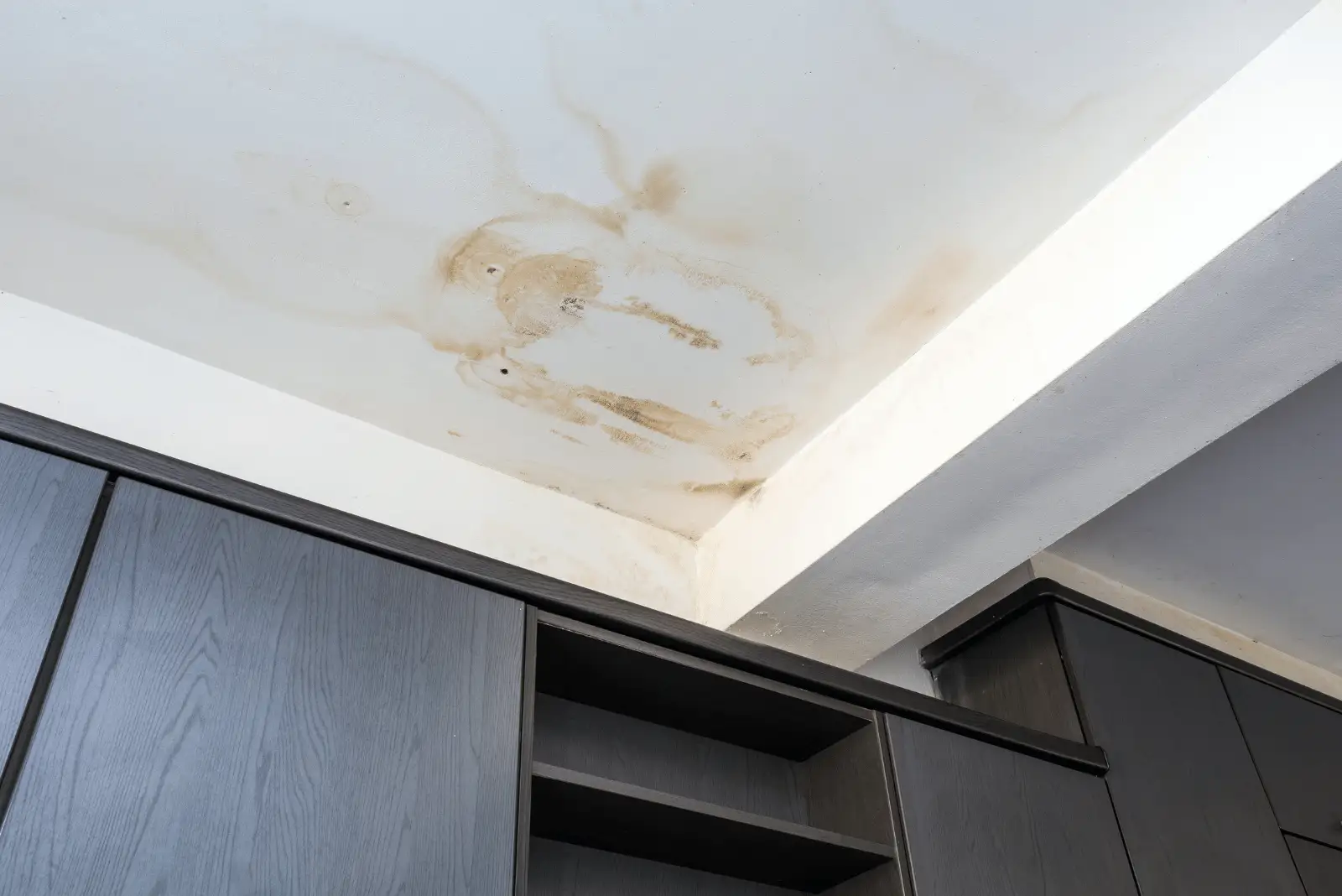 Ceiling with large brown water stains and mold above dark cabinets, indicating water damage and possible leakage.