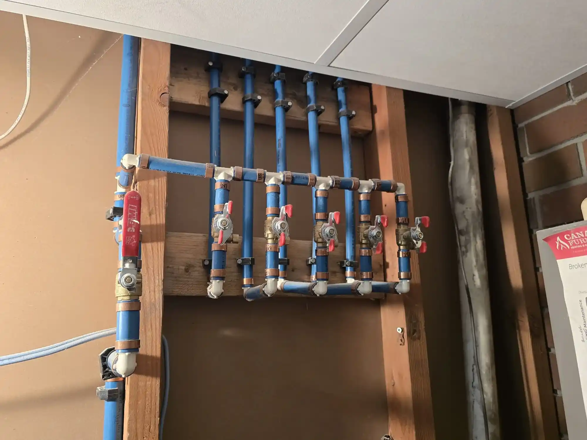 Exposed plumbing manifold with blue PEX pipes illustrates a modern Polybutylene Pipe Replacement, featuring multiple shut-off valves and fittings mounted on wooden studs in an unfinished wall.